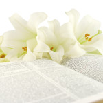 Palm Sunday Festival Service Palm Sunday Festival Service
